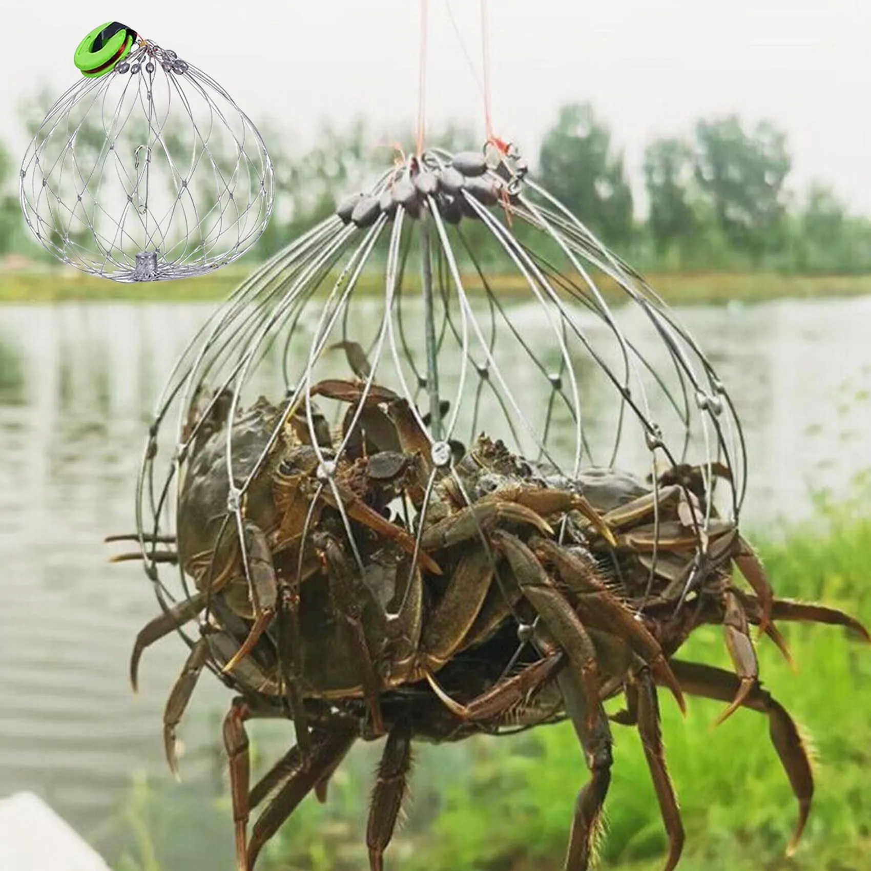 MMUNNA Automatic Opening & Closing Fishing Net Cage, 52-70cm, Lightweight Folding Crab Trap